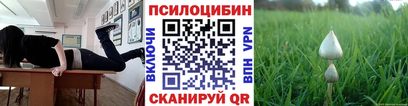 Галлюциногенные грибы ЛСД  магазин    Стерлитамак 